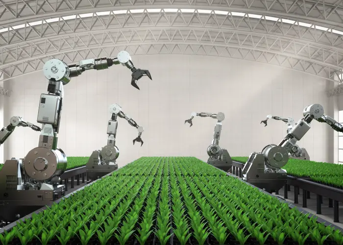 نوآوری در برداشت هوشمند سبزیجات در چین: آینده‌ی کشاورزی هوشمند