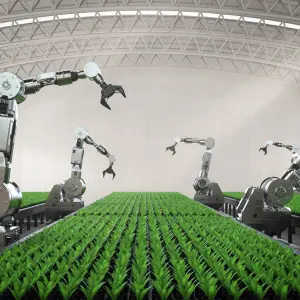 The Biological Clock and the Role of Fruits in Regulating It